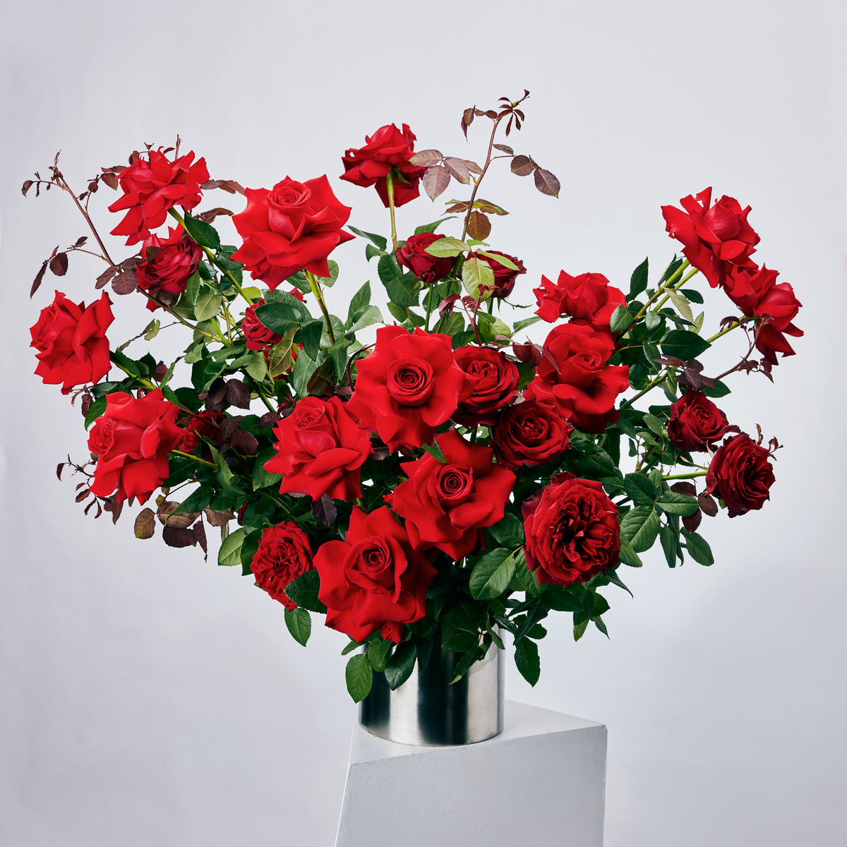 Red Roses