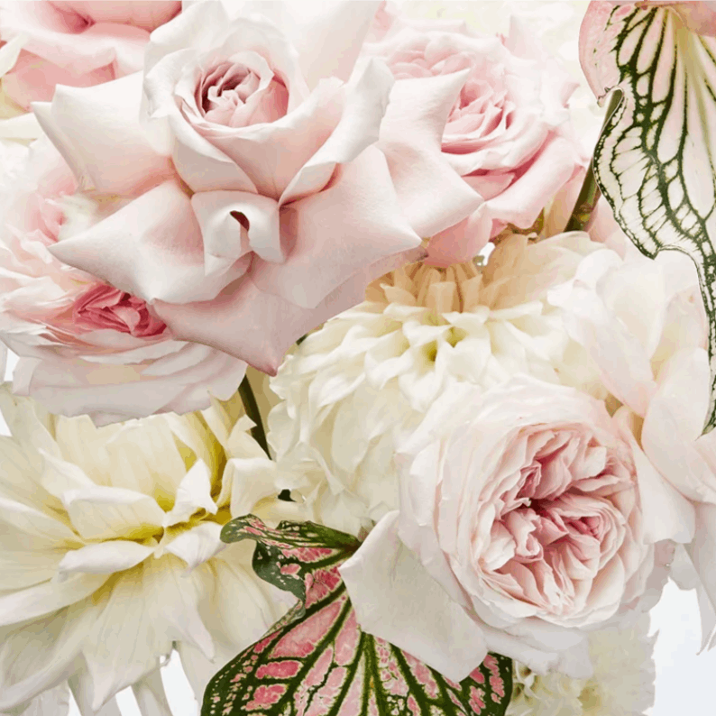Large Feature Arrangement