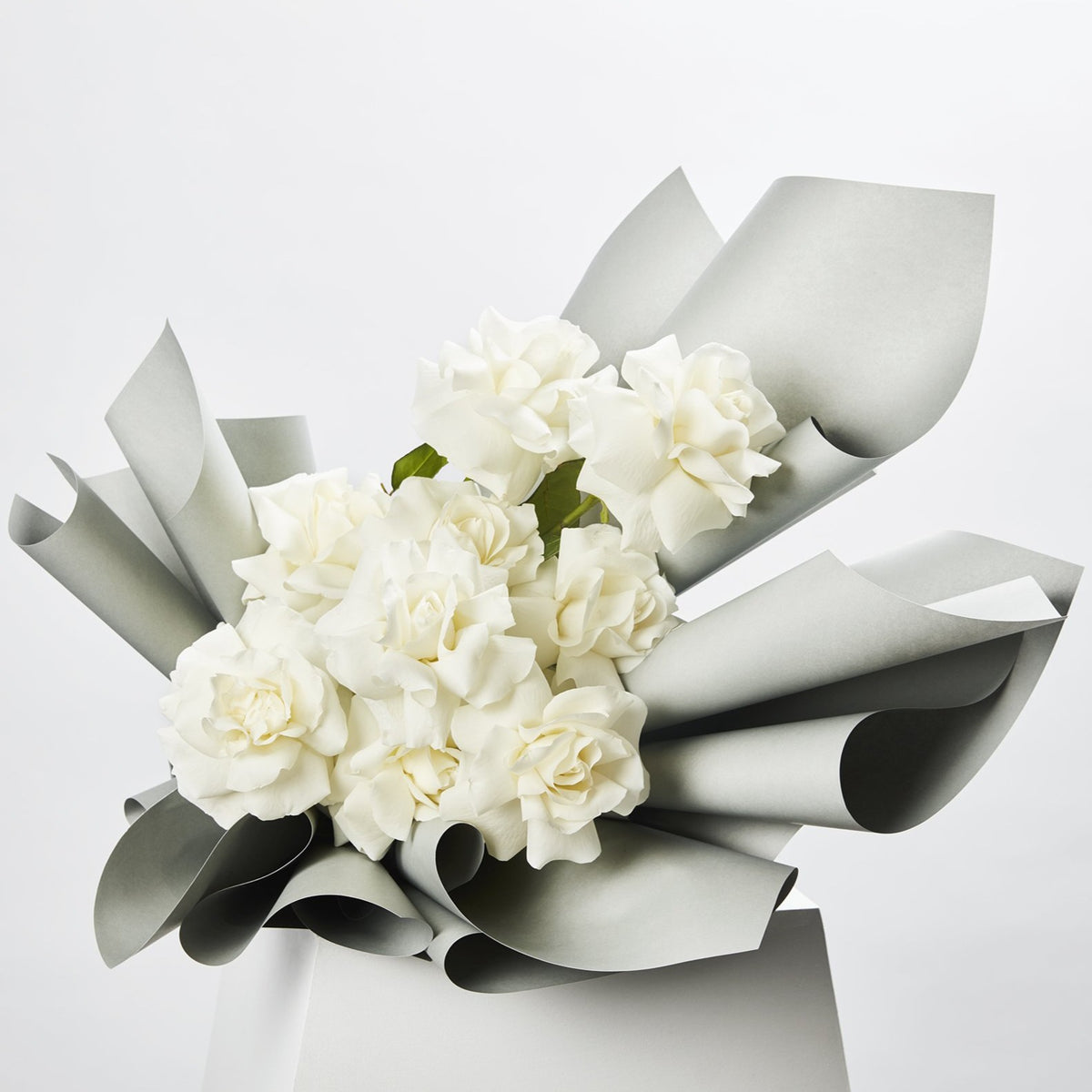 White Roses
