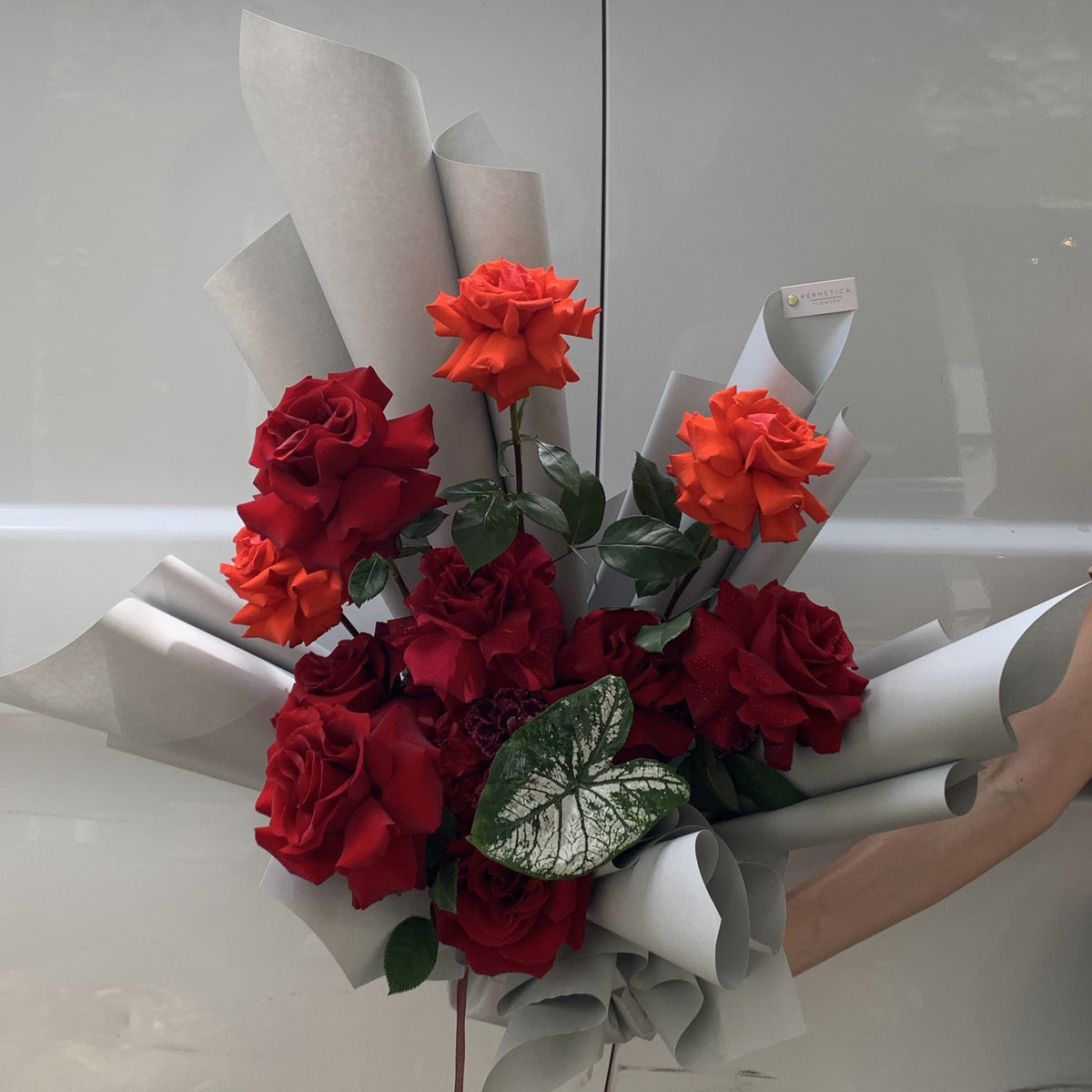 1 Dozen Wrapped Bouquet