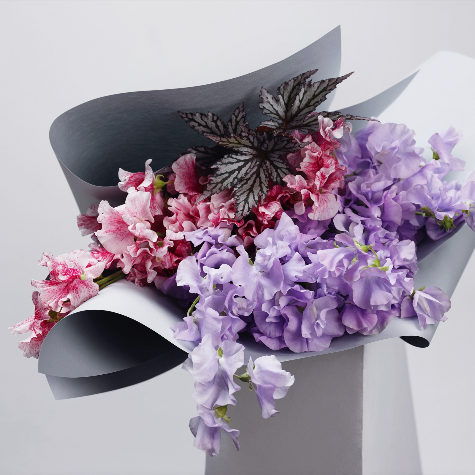 Sweet Pea – floral arrangement by Hermetica Flowers, Sydney